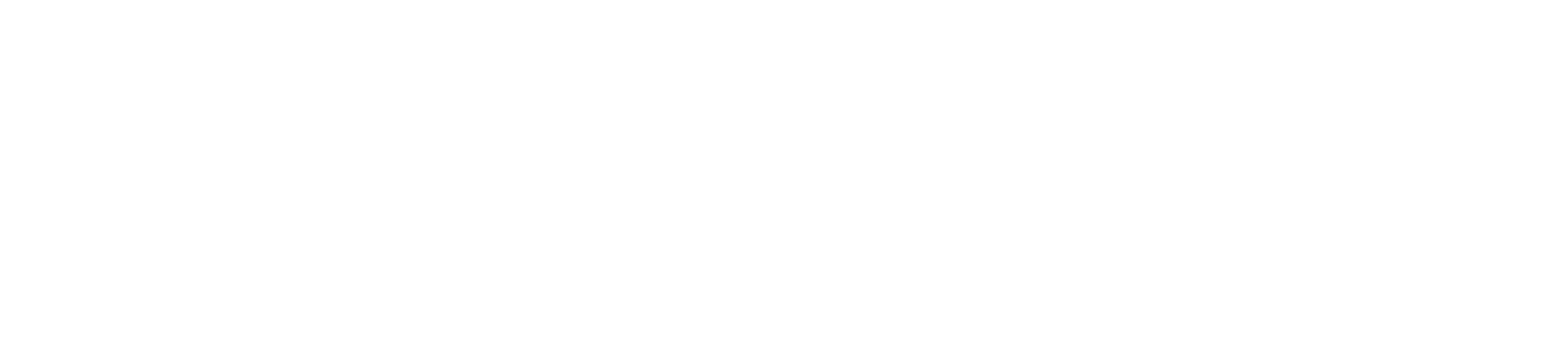 gini